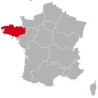 Golden Retriever Züchter und Welpen in der Bretagne ,
